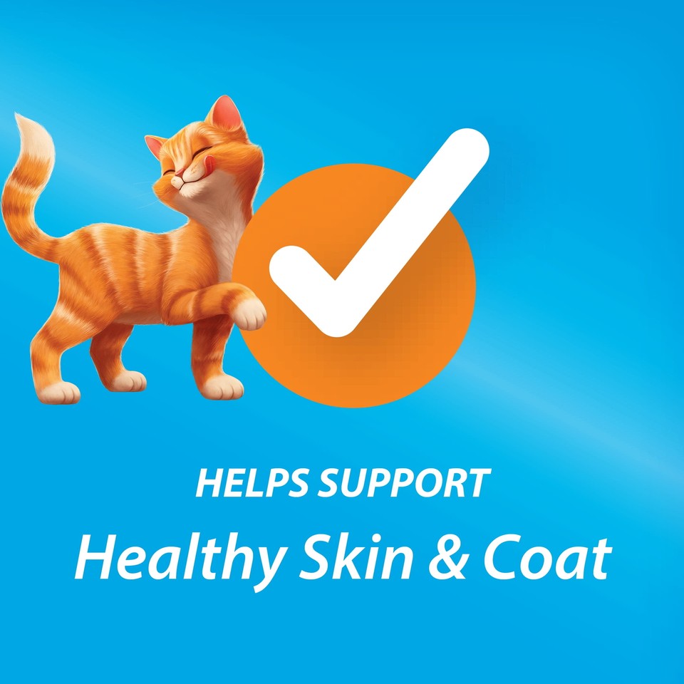 Purina Kit and Kaboodle Original Dry Cat Food for Adult Cats eBay