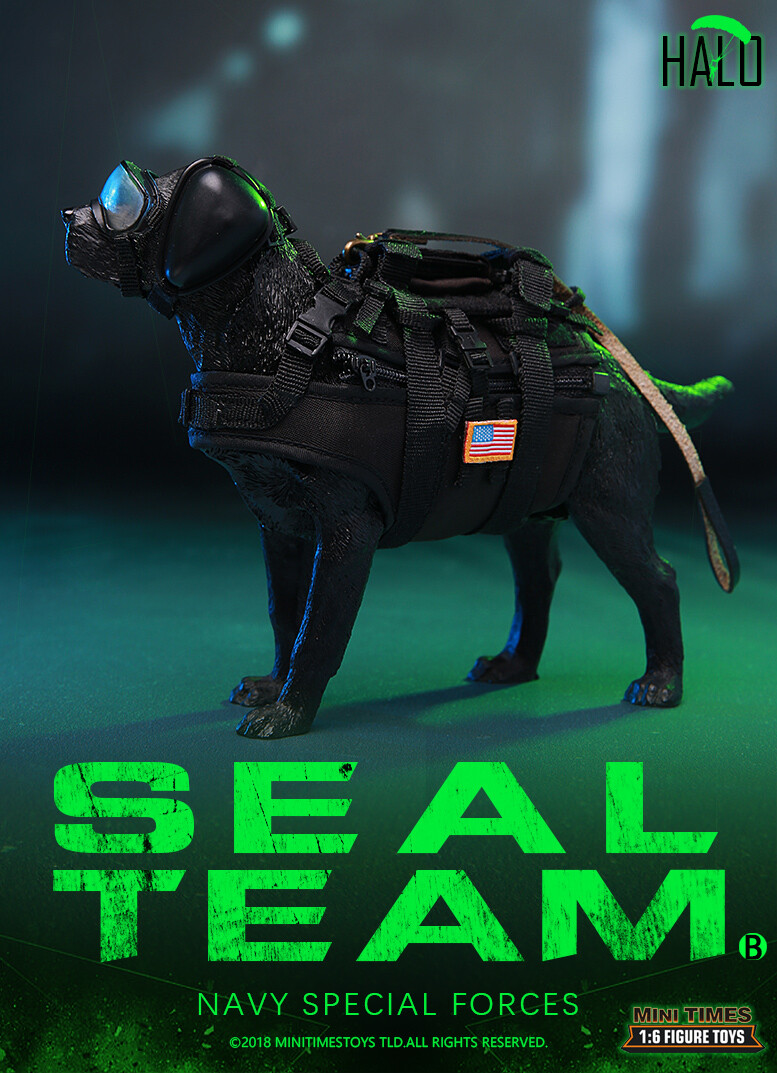 Mini Times Toys Seal Team Navy Special Forces 1/6 Male Mini Times Toys Seal Team Navy Special Forces 1/6 Male