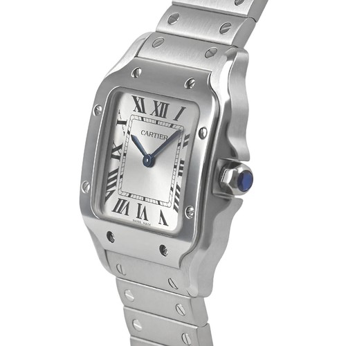 CARTIER Santos de Cartier SM WSSA0082 SW18551