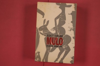 297063 Darcy Ribeiro MULO Ammann Verlag HC
