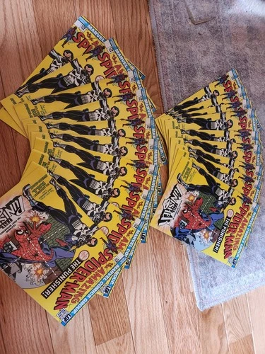 (19) 2004 The Amazing Spiderman The Punisher! Bj9