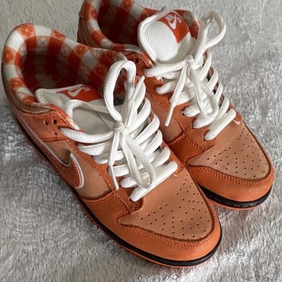 Nike Dunk Low Orange Lobster Orange Frost/Electro Orange/White FD8776-800