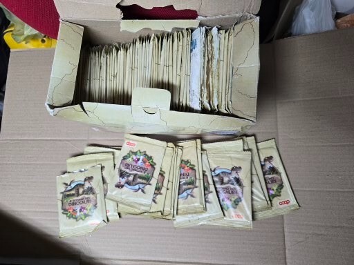 Foto 6 di 6