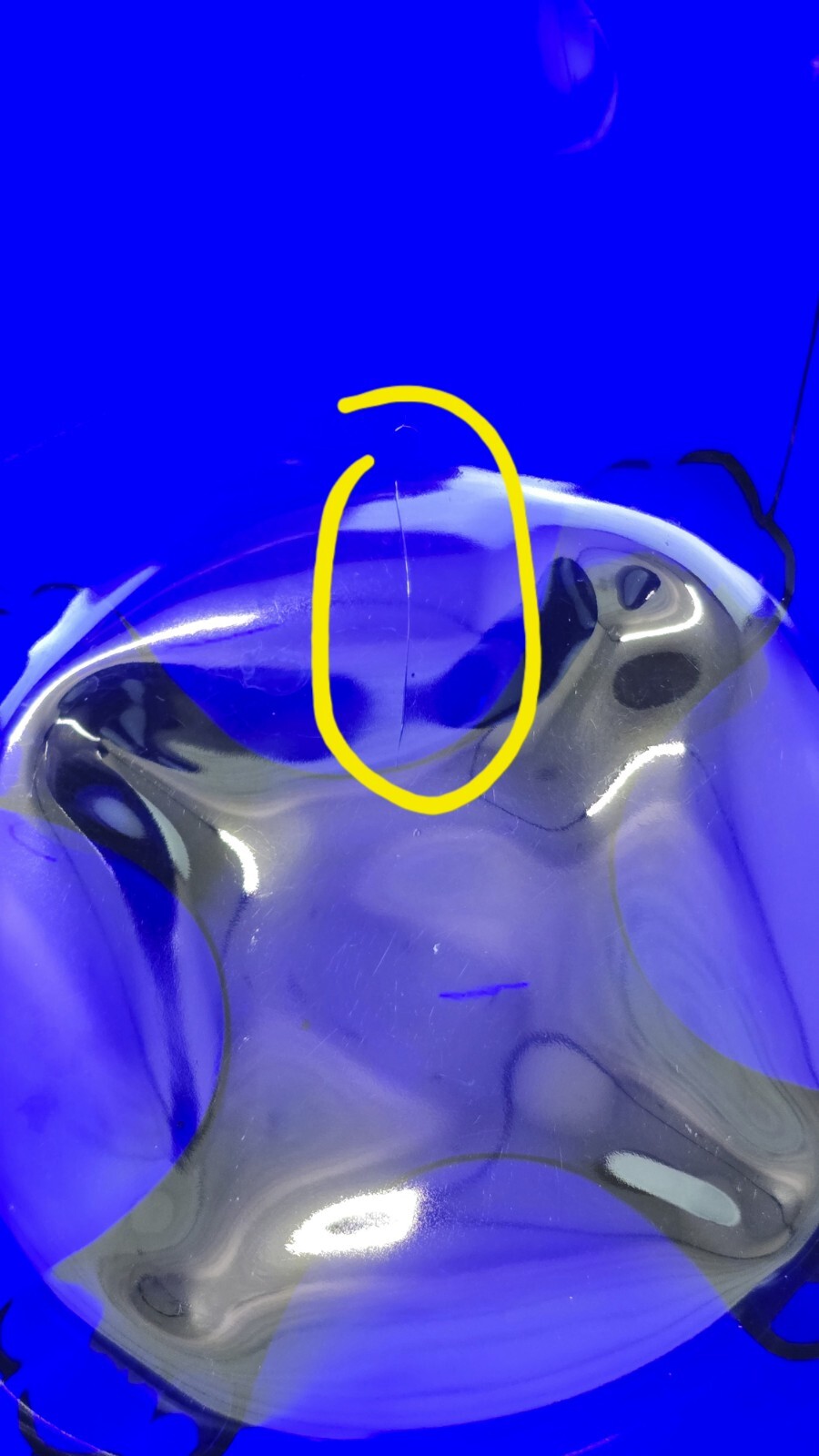 Picture 6 of 7