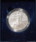 2013 American Eagle Coin With Box and Paper.