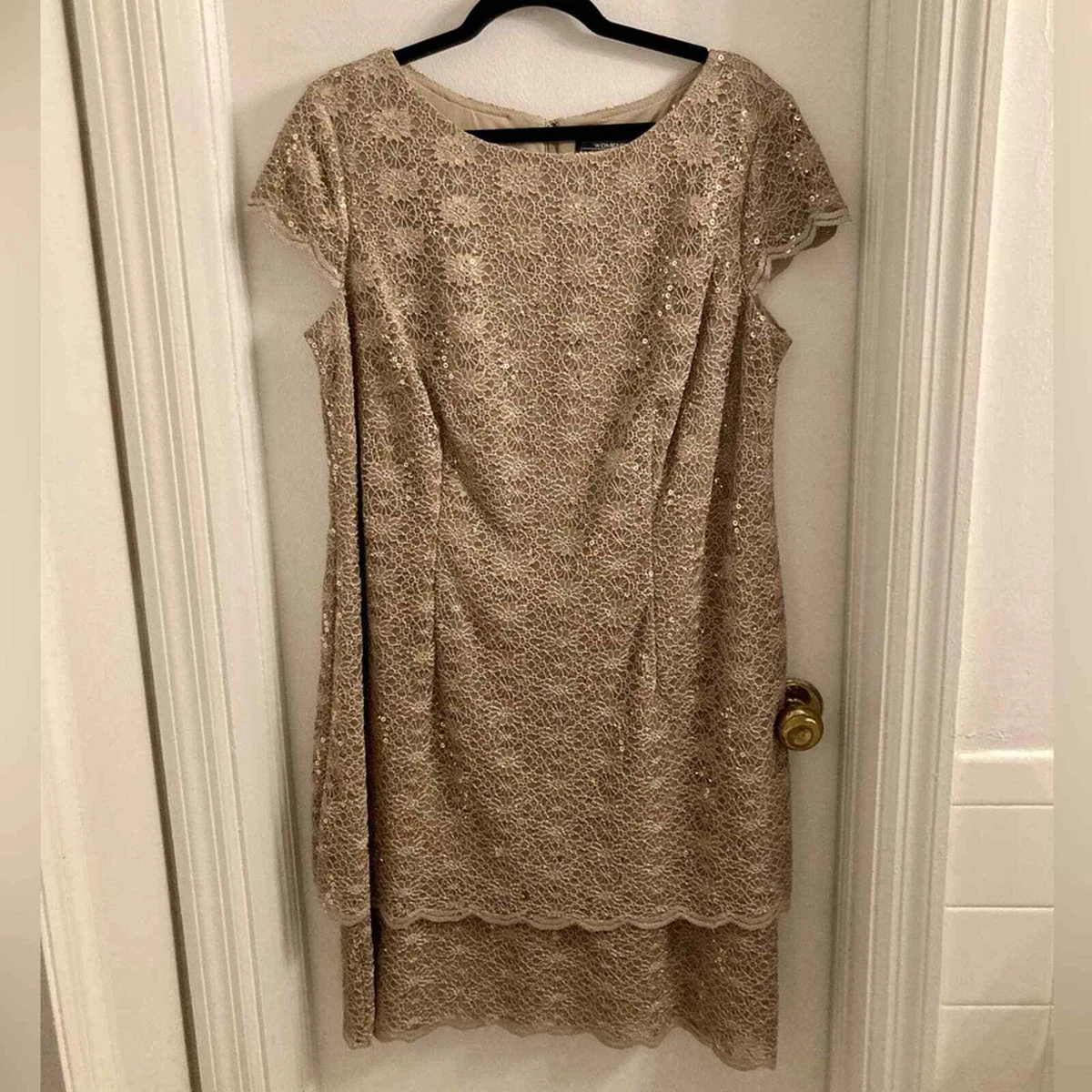 Alex evenings champagne clearance dress