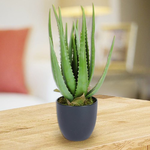 Pianta artificiale in vaso stefi 9x9cm - Atmosphera créateur d'intérieur