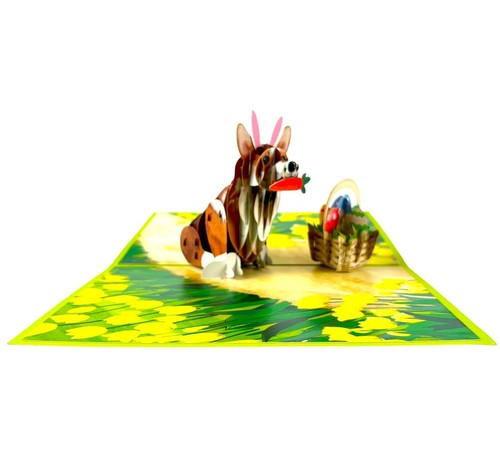 BC Worldwide Ltd 3D pop up card Corgi dog Carrot Tulip Easter Eggs Spring Blank - Picture 4 of 5