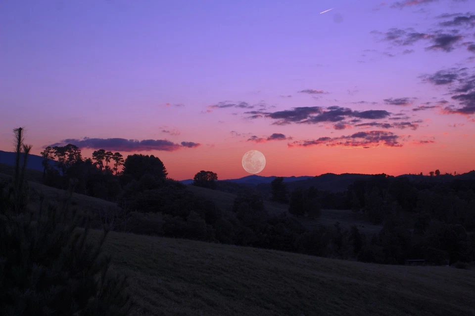 impresiones fotográficas arte de pared Foto 4 de 4