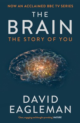 Brain