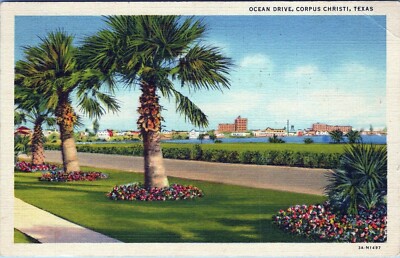 Ocean Drive Corpus Christi Texas 3A-H1497 Postcard Posted