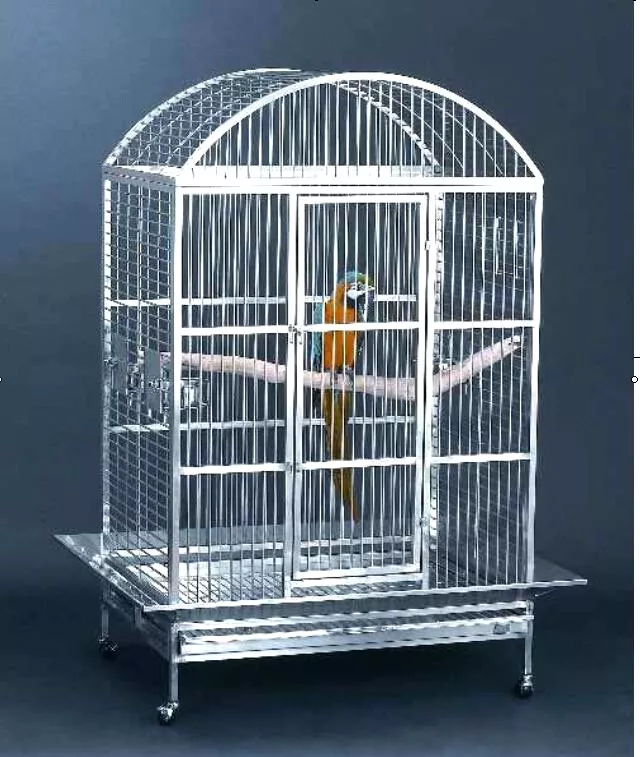 Macaw cage outlet