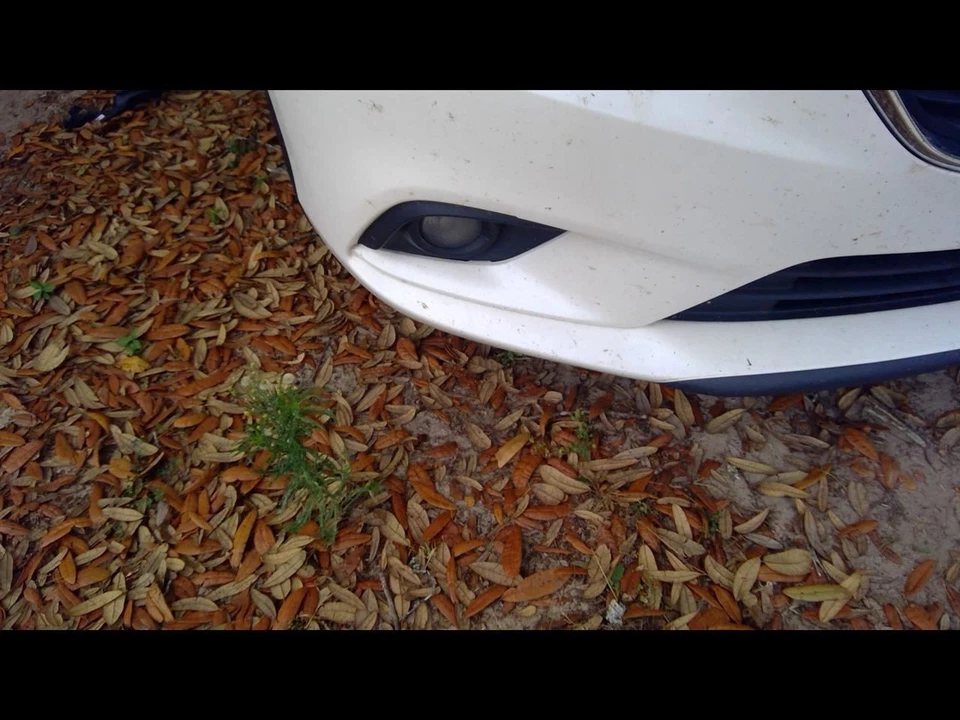 Passenger Right Fender Fits 14-21 MAZDA 6 1125387 - Image 2 of 4