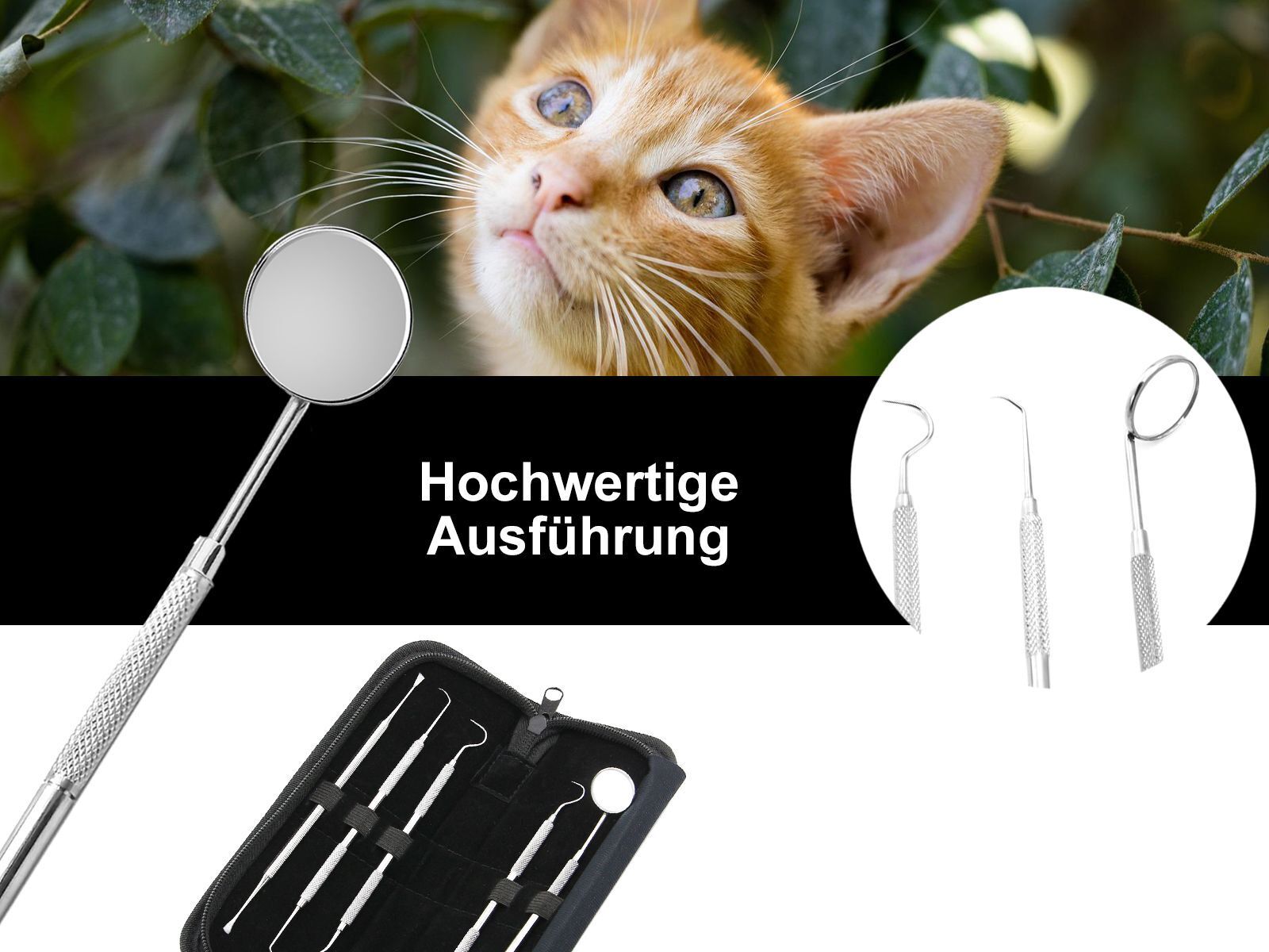 Bild 3 von 9