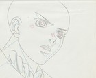 The Twelve Kingdoms Juuni Kokki Genga Douga Original Sketches Pierrot - Youko — photo 9