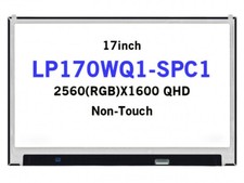 17in LP170WQ1 SPC1 DPN 0HV2FM 2560X1600 40Pins EDP WQXGA LED Display Non-Touch