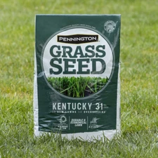 PENNINGTON GRASS SEED Kentucky Tall Fescue for Sun to Partial Shade