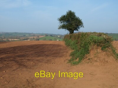 Foto 6x4 Feldgrenze bei Paulsland Farm St George's Well The Stolly t c2010