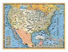 Sportsmens Fishing Map of USA & Neighboring W...