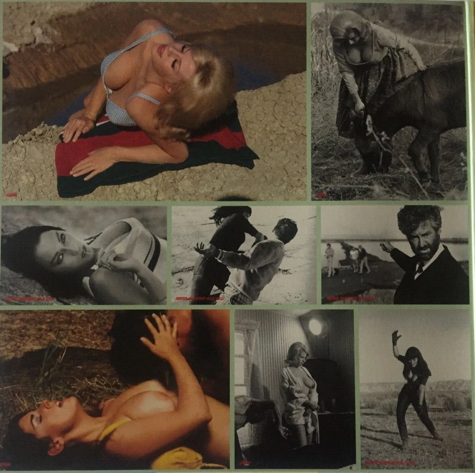 Russ Meyer´s - Lorna - Vixen - Faster, Pussycat! Kill! Kill! (Vinyl neu) - Bild 3 von 4