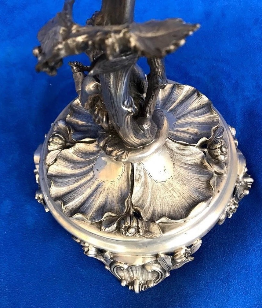 Foto 6 di 11
