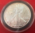 2005 American Silver Eagle ASE .999 Fine Silver Bullion Coin