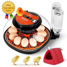 12 Egg Incubator for Hatching - Chicken, Duck, Quail & Goose – Automatic Egg Tur