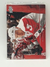 2008-09 Upper Deck Detroit Red Wings Detroit Red Wings #128