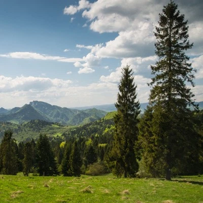 Kurzurlaub Seefeld Tirol Österreich | Gutschein 2P 2 Nächte HP Wellness | Deal - Bild 1 von 4