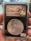 2019 W Burnished Silver Eagle $1 MS 69