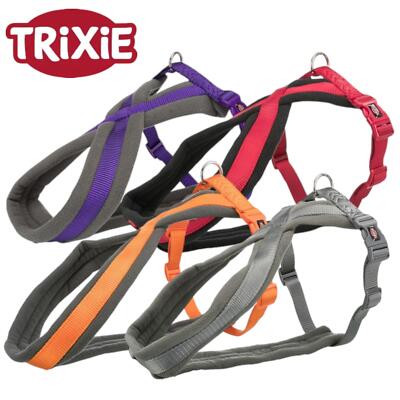 TRIXIE Premium Leine Für Hunde - Robustes Nylon, Gepolsterter Griff (Größen XS Bis XL)