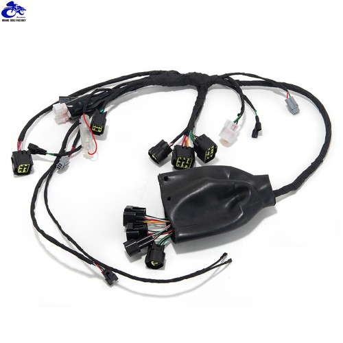 Full Main Wire Wiring Assy Harness For Sur-Ron X Light Bee X For Segway X260 - Picture 6 of 7
