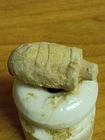 Civil War 52 Caliber aliber Sharps and Hankins Found In Richmond VA