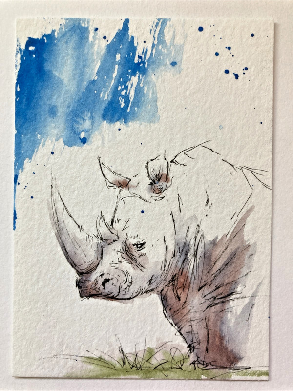 ACEO Original Watercolor Painting ATC Rhino OOAK