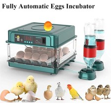 15 Eggs Incubator Fully Automatic Turning Temperature Control Egg Lamp Chic Bird