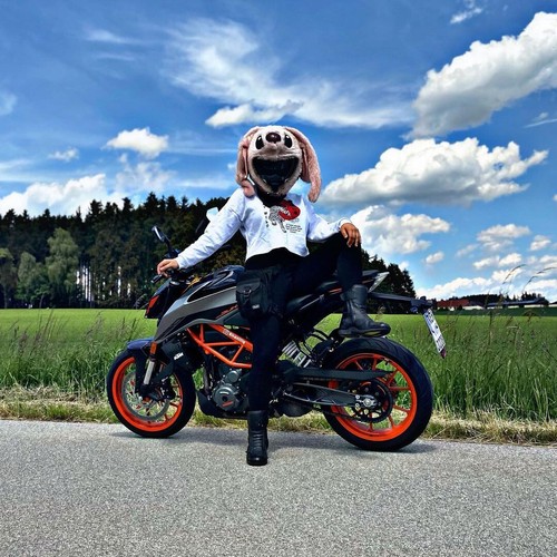 MOTORBIKE COVER FUNNY MOTORCYCLE CRAZY CASE HELMET COVERS HEEDS PINK HEAD - Picture 5 of 11