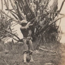 Vintage 1920s RPPC Man Rifle Hunting Cactus Tree Postcard
