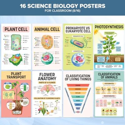 EggSun 16 Pcs Ecosystems Science Posters For High School - View #11