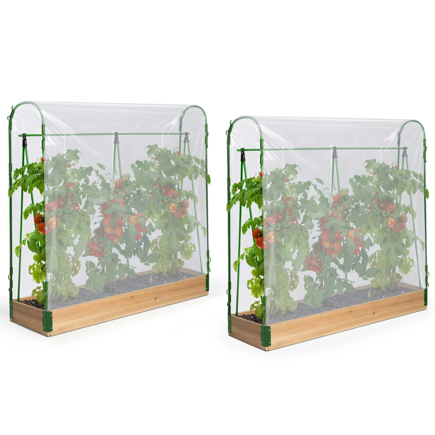 Serre à tomates modulable tunnel vertical tuteur plante grimpante Duo