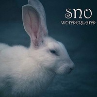 Stonewall Noise Orch - Wonderland - Cd - 44 - F72Z