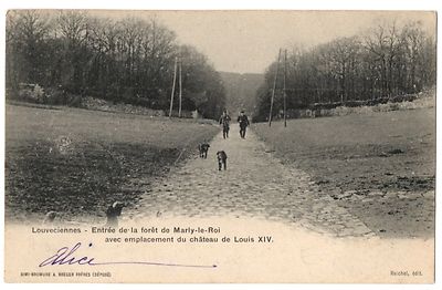 CPA 78 - LOUVECIENNES (Yvelines) - Eingang zum Wald von Marly dem König
