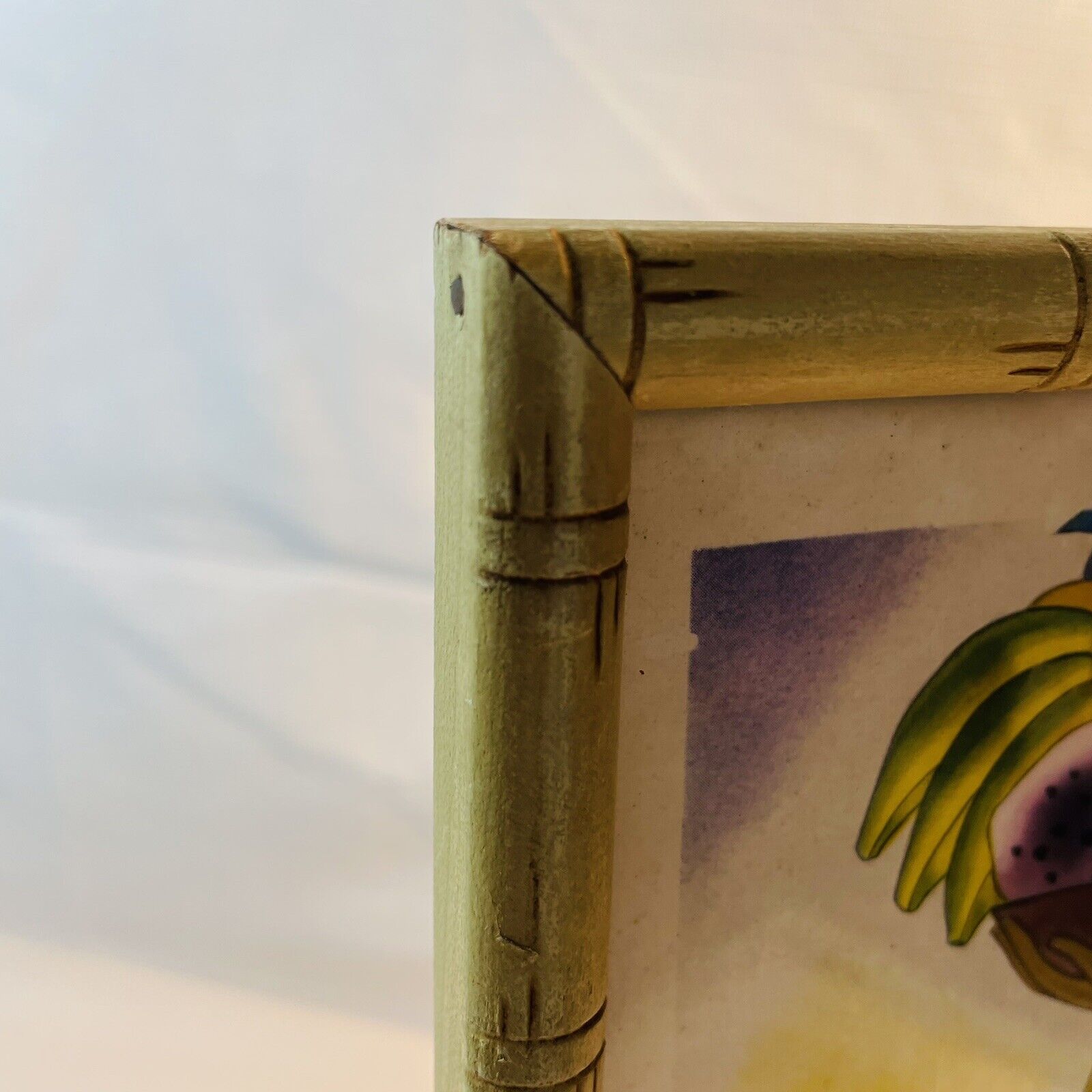 Bild 8 von 12