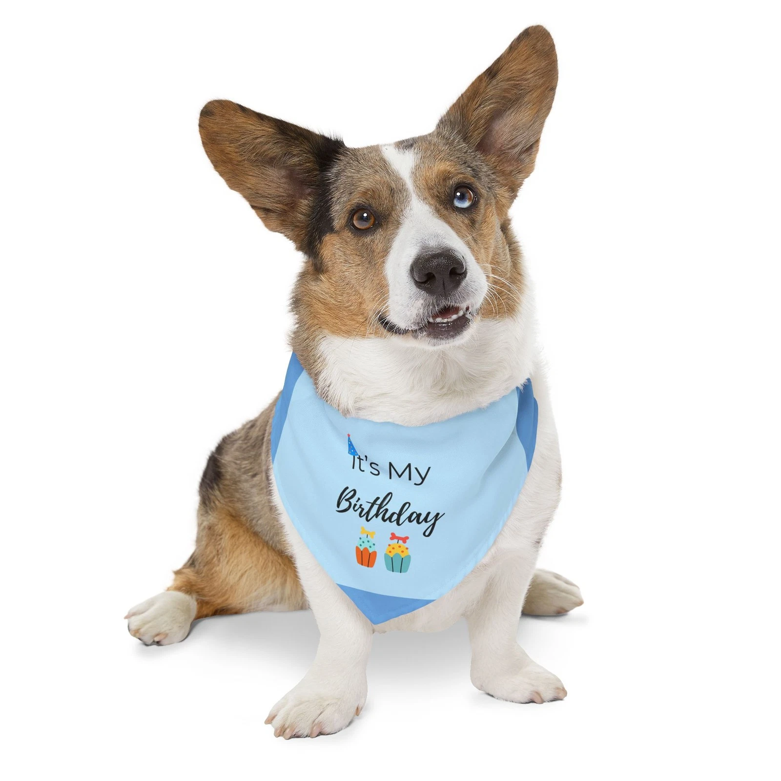 It's My Birthday Pet Bandana Collar | Blue Birthday Party Design
Opens in a new window or tab