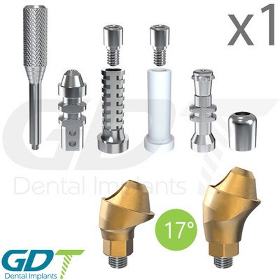 Angulated Multi Unit Kit 17° For Conical NP Active Hex Dental System Titanium