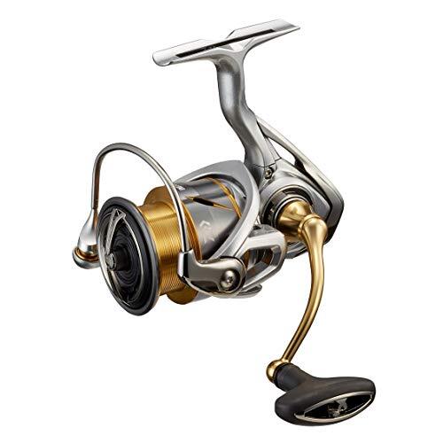 Daiwa 21 FREAMS LT3000-CXH Spinning Reel New in Box | eBay