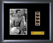 Sidney Poitier Single Film Cell - ZF1430S1