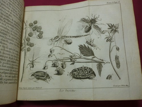 Spectacle De La Nature / ~ Tiere & Plantes 25 Planches durch Lebas - Bild 7 von 8