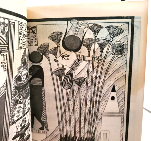 OCCULT: BOOK OF THE DEAD, E. A. Wallace Budge, Egypt, Illustrated - Picture 13 of 14