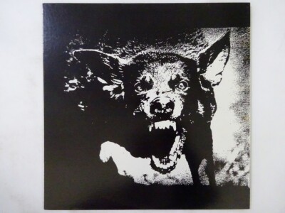 The Execute Save Your Money 13 Grave Release GRAVE 3302 Japan  VINYL LP