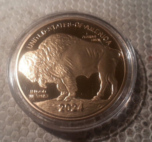 2020 $50 Buffalo Tribute Proof 24Kt Gold Plated Gilded National Collector's Mint - Picture 5 of 10